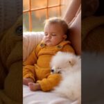 かわいい赤ちゃんと子犬のラブラブ #shors