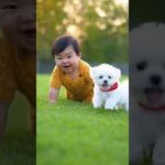 かわいい赤ちゃんと子犬のラブラブ #shors