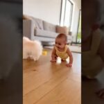 かわいい赤ちゃんと子犬のラブラブ #shors