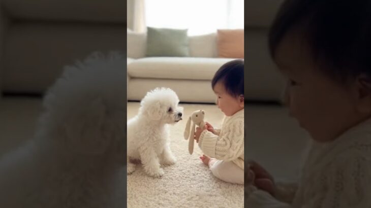 かわいい赤ちゃんと子犬のラブラブ #shors