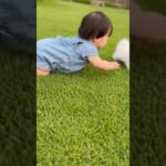 かわいい赤ちゃんと子犬のラブラブ #shors