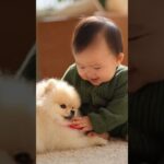 かわいい赤ちゃんと子犬のラブラブ #shors