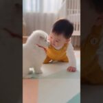 かわいい赤ちゃんと子犬のラブラブ #shors