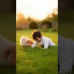 かわいい赤ちゃんと子犬のラブラブ #shors