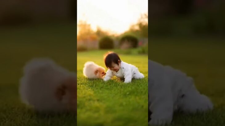 かわいい赤ちゃんと子犬のラブラブ #shors