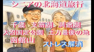 シニアの旅行はストレス解消、楽しい思い出作りになります。出かけることができるのなら今すぐ出かけましょう。時は待ってはくれません。後悔しないように。