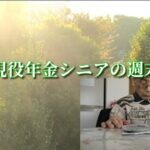 現役年金シニアの週末「現役年金シニアの現実」