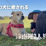 【軽自動車で行く北海道旅】霧多布岬に６０代シニア男女が集まり蟹、エビ、牡蠣の贅沢三昧！鹿さんにも癒された。ラッコも頭だけ出してくれました。