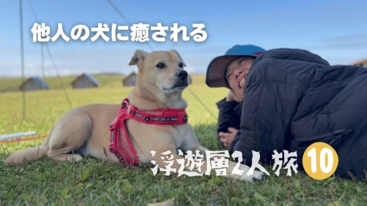 【軽自動車で行く北海道旅】霧多布岬に６０代シニア男女が集まり蟹、エビ、牡蠣の贅沢三昧！鹿さんにも癒された。ラッコも頭だけ出してくれました。