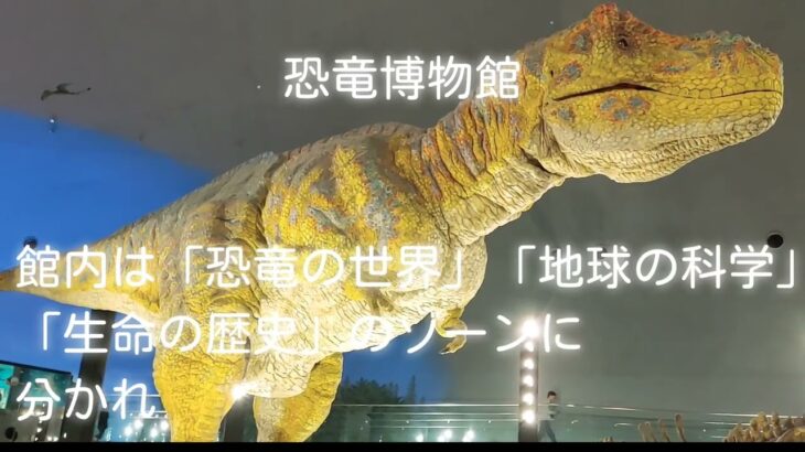 １０月の北陸地方車旅　シニア夫婦＆チワワ達