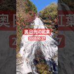奥日光の紅葉#竜頭ノ滝 #湯滝 #華厳ノ滝