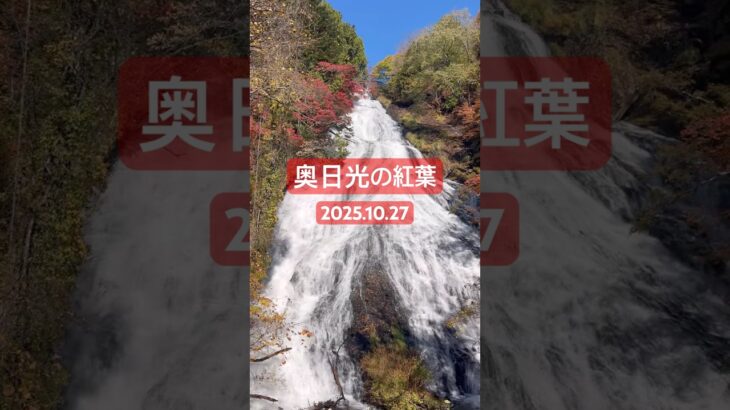 奥日光の紅葉#竜頭ノ滝 #湯滝 #華厳ノ滝