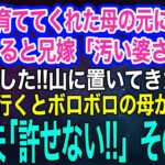 【スカッとする話・年金シニア生活】 片親で育ててくれた母の元に帰省すると兄嫁「汚い婆さんは山に片付けたわよｗ」急いで探しに行くとボロボロの母が…私＆夫「許せない…‼」→その後ｗ