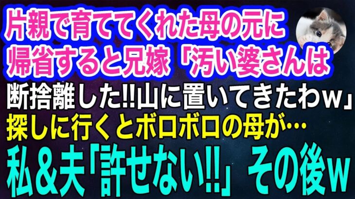 【スカッとする話・年金シニア生活】 片親で育ててくれた母の元に帰省すると兄嫁「汚い婆さんは山に片付けたわよｗ」急いで探しに行くとボロボロの母が…私＆夫「許せない…‼」→その後ｗ