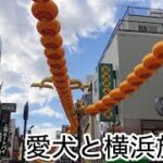 中年夫婦とシニア犬　念願の横浜旅行を満喫！　トイプードル／再婚夫婦