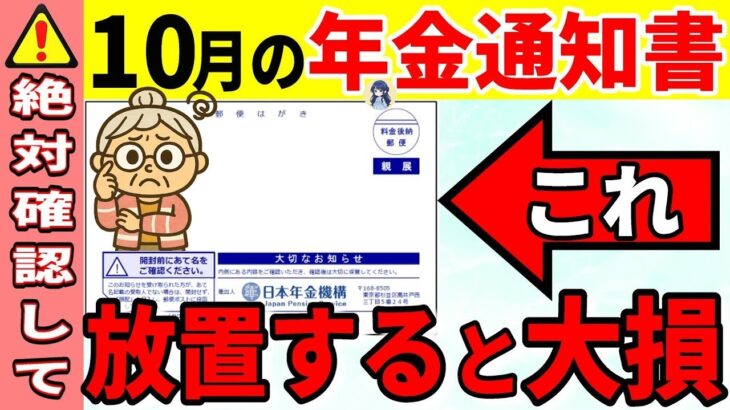 ˚⊱🪷⊰˚【絶対確認しろ】10月に届く年金通知書 この大事な2か所必ず確認してください！12月に年金受給者全員がもらえる’政府からの特別ボーナス’と年金振込通知書の重要チェックポイントを完全解説します