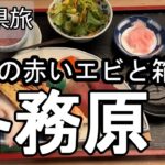 【ナイスなシニアのぎふ県旅＠各務原#10】岐阜県各務原市（2025年11月25日）