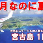 【宮古島シニア夫婦旅】11月なのに夏！絶品スイーツと居酒屋グルメで満腹な1日目✈️