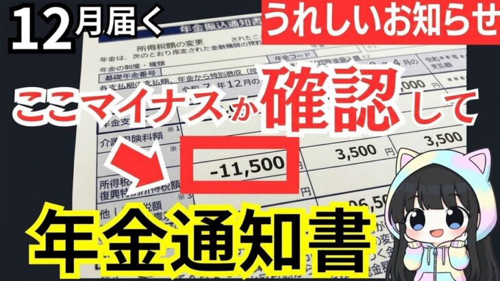 ✨【12月届く年金通知書の表示確認！年金増！】年金振込通知書を確認して！✨