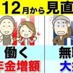 🚏【役所は教えない】12月から年金が増額する！働く65歳以降の方は必見！在職定時改定！【年金改正 経過的加算】🚏