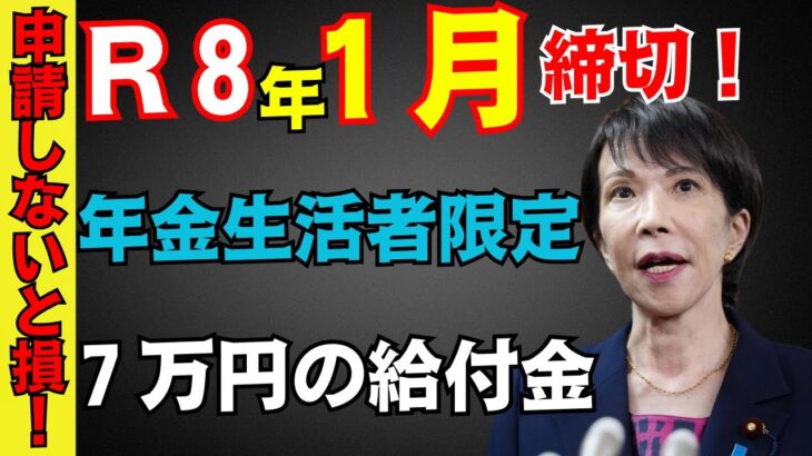 【今すぐ申請を！】1月5日までに申請で年金生活者に給付金支給！年金＋7万円が生涯加算される制度とは【年金生活／老後】