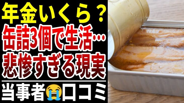 【衝撃】想像以上に辛い年金暮らし… シニアの口コミ20選