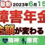 👴🏼【最新】2023年6月15日支給分「障害年金」支給額が変わる！？年金額〜改定ポイントまで！まるっと解説◎👴🏼