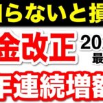 🌸【2024年最新版】年金改正の見通しが遂に発表！具体的な内容と影響を解説【老後資金】🌸