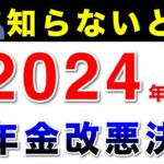 🚏【完全解説】2024年の年金改正で『こう変わる！』この動画1本で全てがわかる！🚏