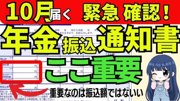 🪭【緊急速報！】2025年10月に年金振込通知書が届く！振込額よりもまず見てほしいチェックポイント３つ！🪭