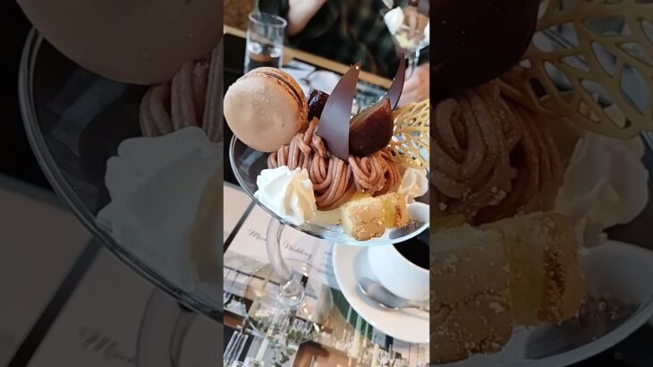 福岡市：レストラン  プルヌス2025年11月7日#シニア #福岡グルメ