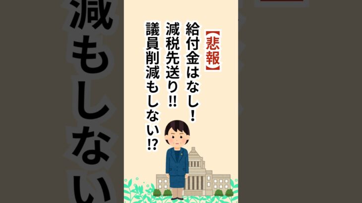 2026年補正予算会議終了。高市内閣の政策は？ #シニア #年金 #給付金