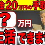 🎏 【2026年から激変】年金20万円の手取り額！！天引きされる税金に全員が絶句！！生活できません！【天引き 税金 社会保険料】🎏