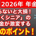 【2026年年金改正】知らないと大損！「働くシニア」の年金が激変する3つのポイントと損得の分かれ道