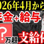 ˚⊱🪷⊰˚【速報！】2026年4月から年金ルールが激変します！今すぐあなたがやるべき行動を解説！˚⊱🪷⊰˚