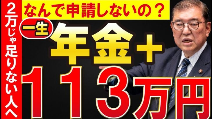 👴【必見】2万円給付金じゃ足りない！年金＋113万円給付金を手に入れる方法！👴