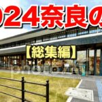 【ノア車中泊】奈良旅・総集編‼️3本の思い出を一気に振り返り《シニア夫婦旅》