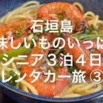 石垣島へシニア3泊4日の旅③　#石垣島　#vlog  #シニア　#旅行   #ごはん