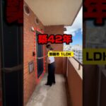 【築42年】この室内想像出来る？　那覇市　沖縄マンション　那覇市