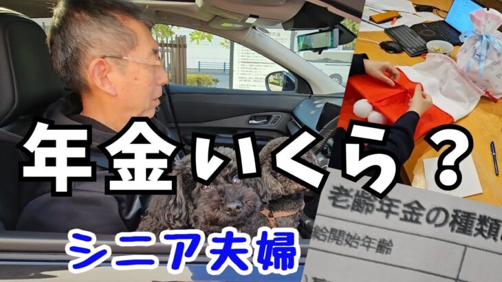 年金定期便公開｜42年働いた私の年金  #134