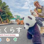 犬との暮らしが好きすぎる49才、伊豆旅行でシニア犬と訪れた心温まる場所とは