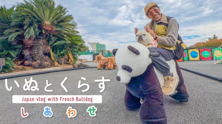 犬との暮らしが好きすぎる49才、伊豆旅行でシニア犬と訪れた心温まる場所とは