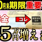 ˚⊱🪷⊰˚【絶対申請しろ】年金の手取が増える重要書類 期限までに提出しないと手取で5万円も損する年金の扶養親族等申告書を完全解説します˚⊱🪷⊰˚