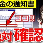 👥【見逃すと大損】6月上旬に届く年金通知書！ここだけは絶対にチェックして【年金額改定】👥
