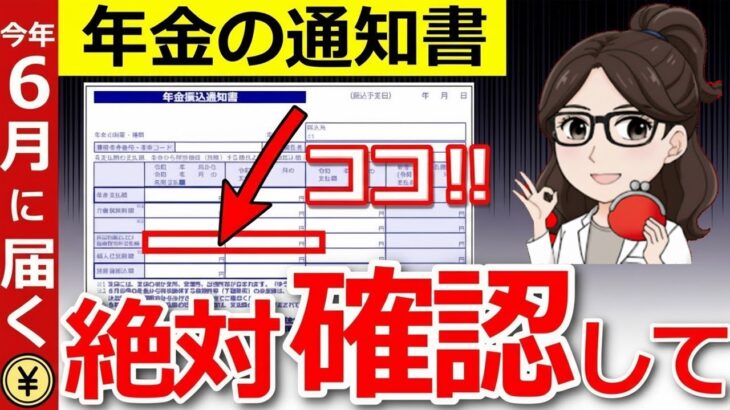 👥【見逃すと大損】6月上旬に届く年金通知書！ここだけは絶対にチェックして【年金額改定】👥