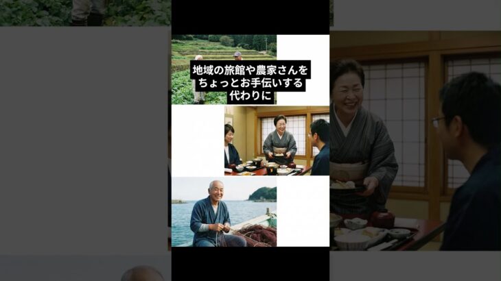 タダ同然で旅行を楽しむ裏技？ #60歳代 #雑学 #プチ知識 #お金