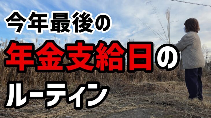 【60代一人暮らし】年金額2万円　今年最後の年金支給日ルーティン【シニアVlog】