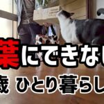 【60代一人暮らし】68歳、言葉にできない…【シニアVlog】