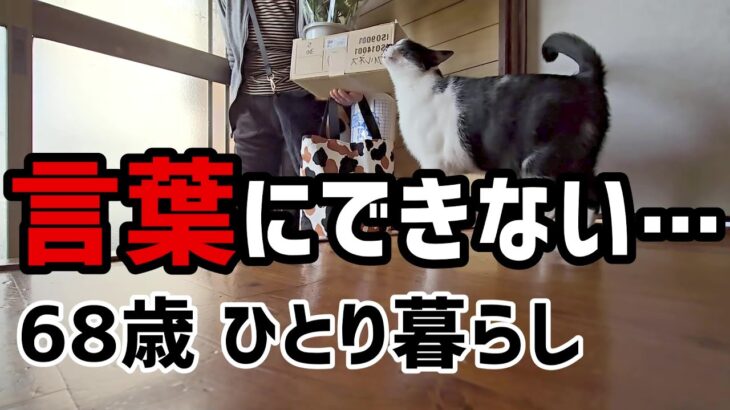 【60代一人暮らし】68歳、言葉にできない…【シニアVlog】