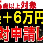 👴🏼【完全版】年金に毎月6万円プラスで一生受け取れる！？総額143万円の神制度「年金生活者支援給付金」を徹底解説！【申請方法・支給額】👴🏼